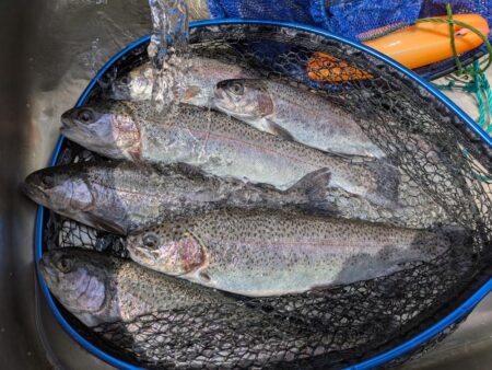 激濁りの中トラウト狙い